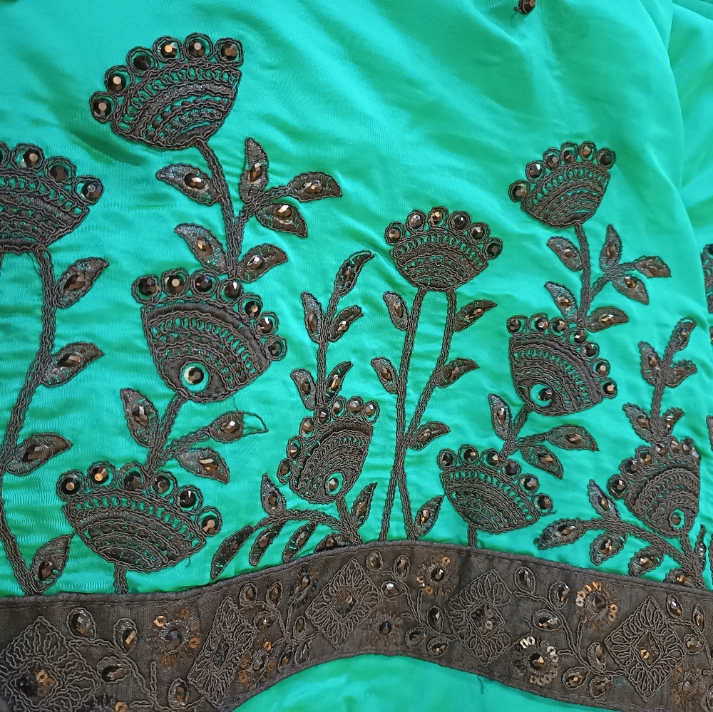Seagreen saree with black border - Picture 3 of 6